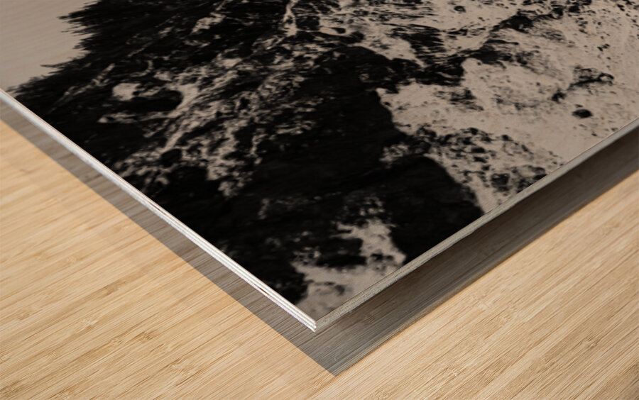 Cap a l orignal Wood print