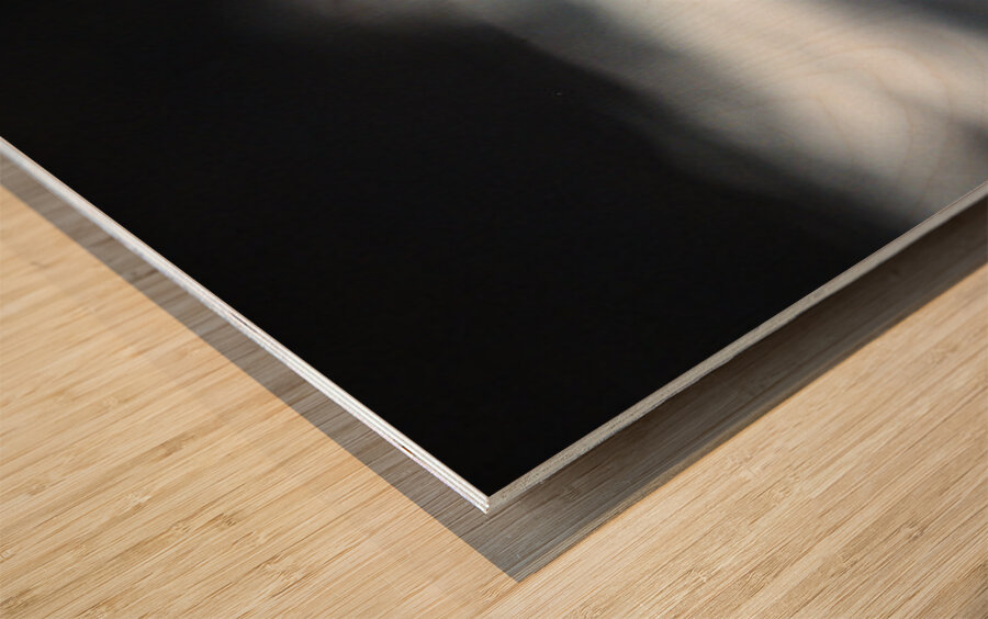 Off the Cliff it went Wood print