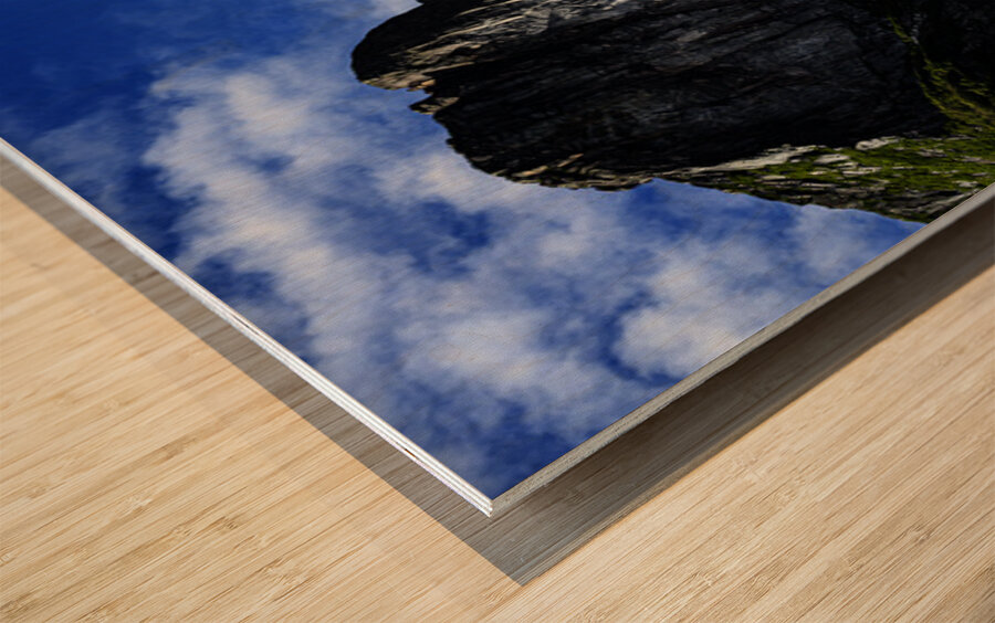 Pretty Cliff V Wood print