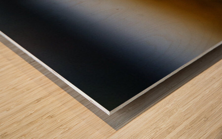 Pretty Plover III Wood print