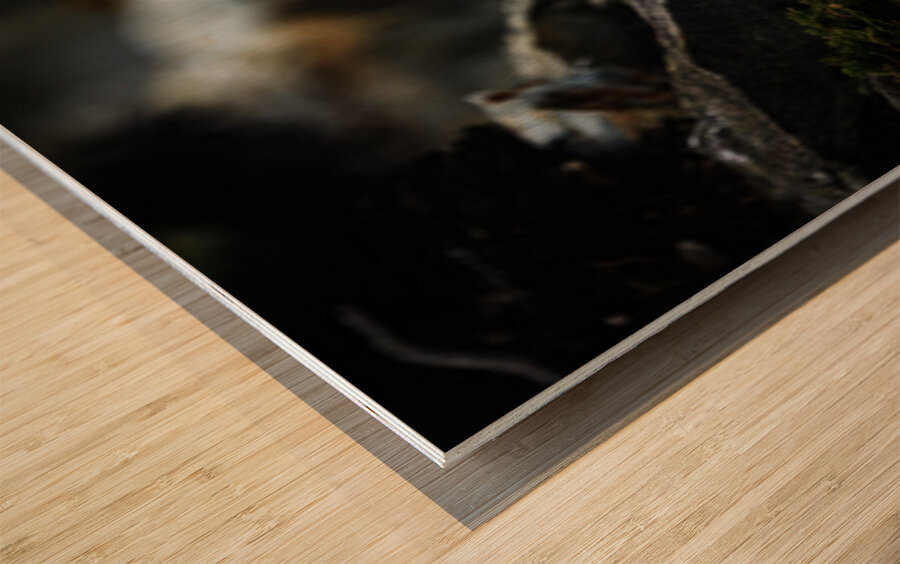 Shake the fog off Wood print