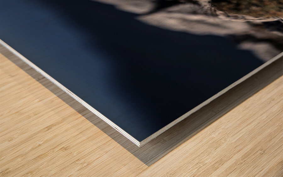 Hard as Rock Wood print