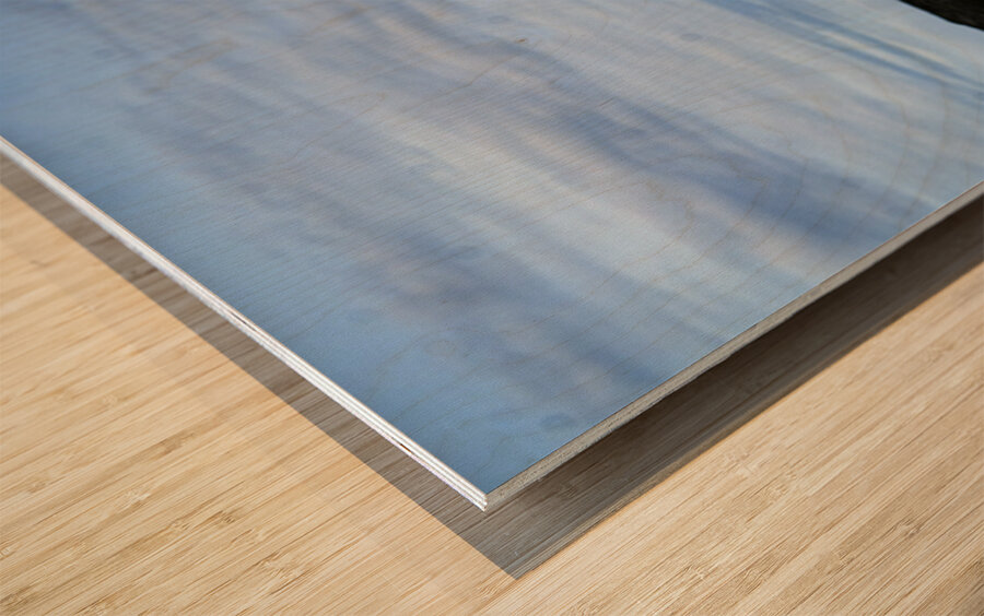 Southern Tundra Bull III Wood print