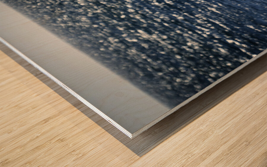 Southern Tundra Bull II Wood print