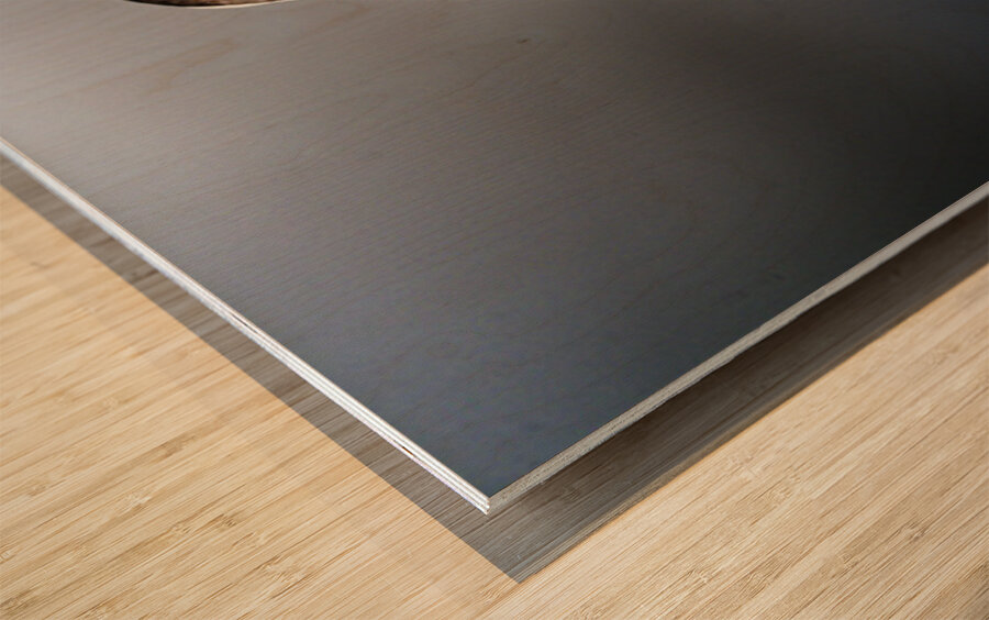 Sea Parrot III Wood print