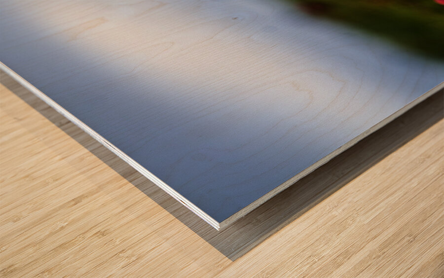 Creeping Dogwood Floor Wood print