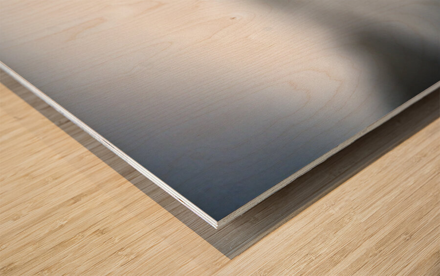 Just a little relaxation Wood print