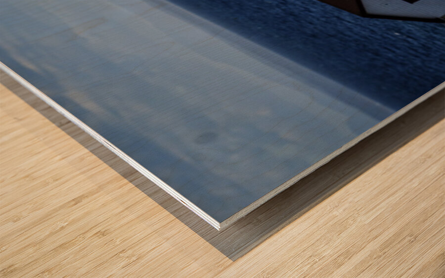 Southern Tundra Bull Wood print