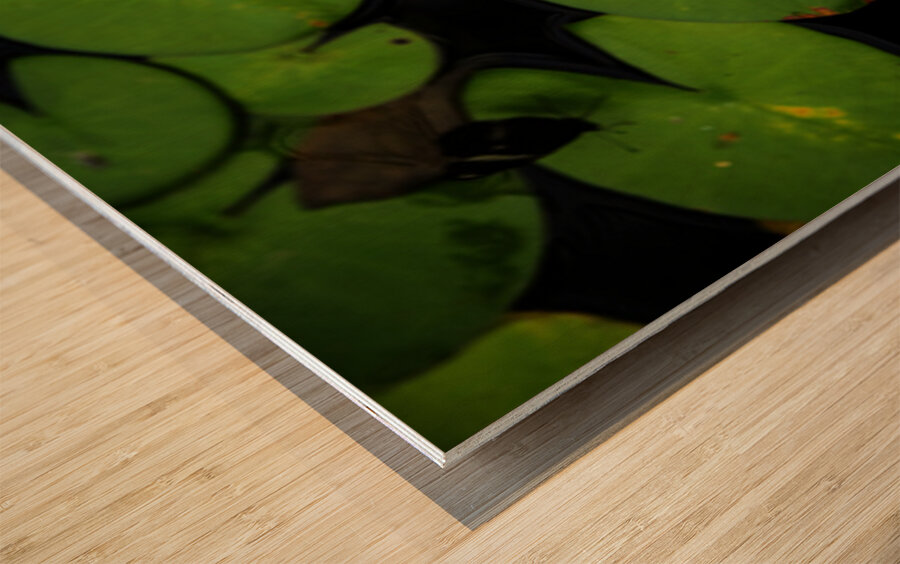 Butterflies and Lilies  Wood print