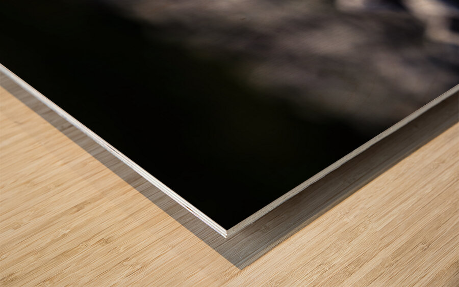 Baritone Bird II Wood print