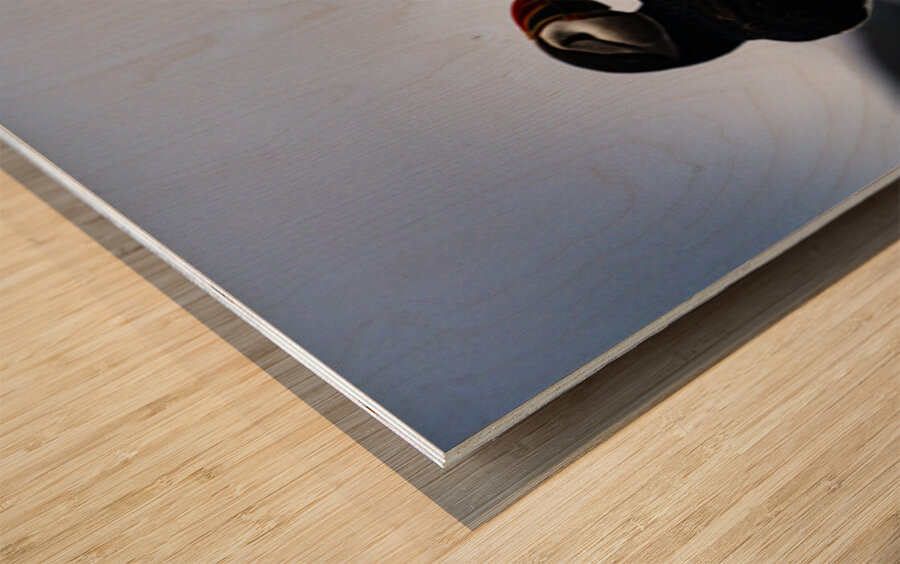 Chillin Puffin Wood print