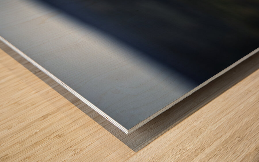 Beyond - a Valley II Wood print