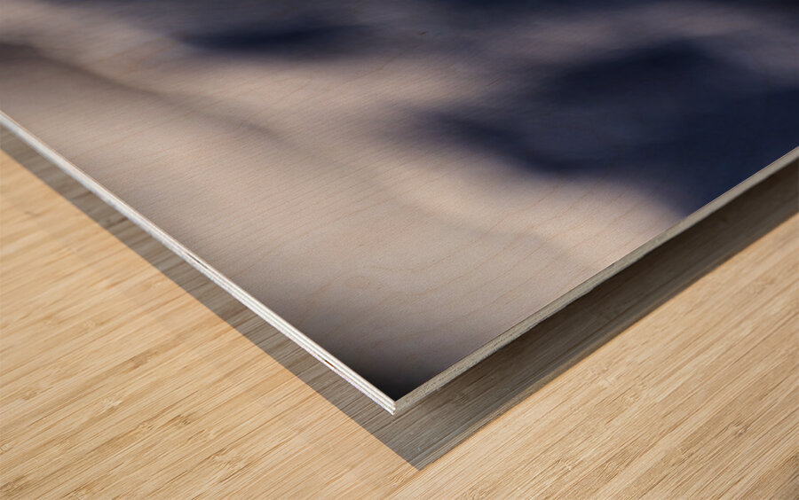 Hard as Rock III Wood print