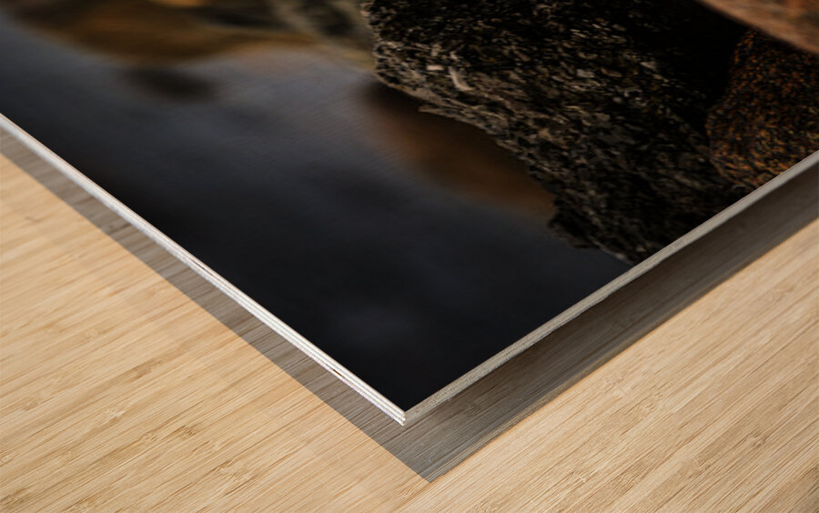 Mighty Mink II Wood print