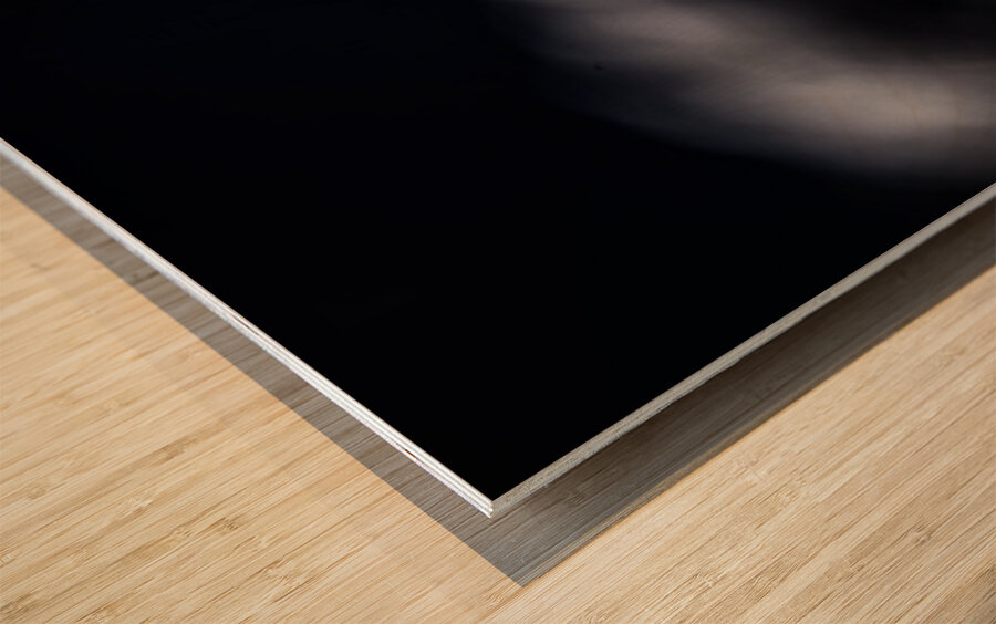 Hard as Rock II Wood print