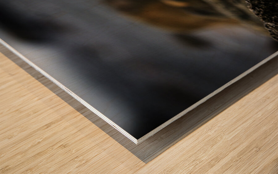 Mighty Mink I Wood print