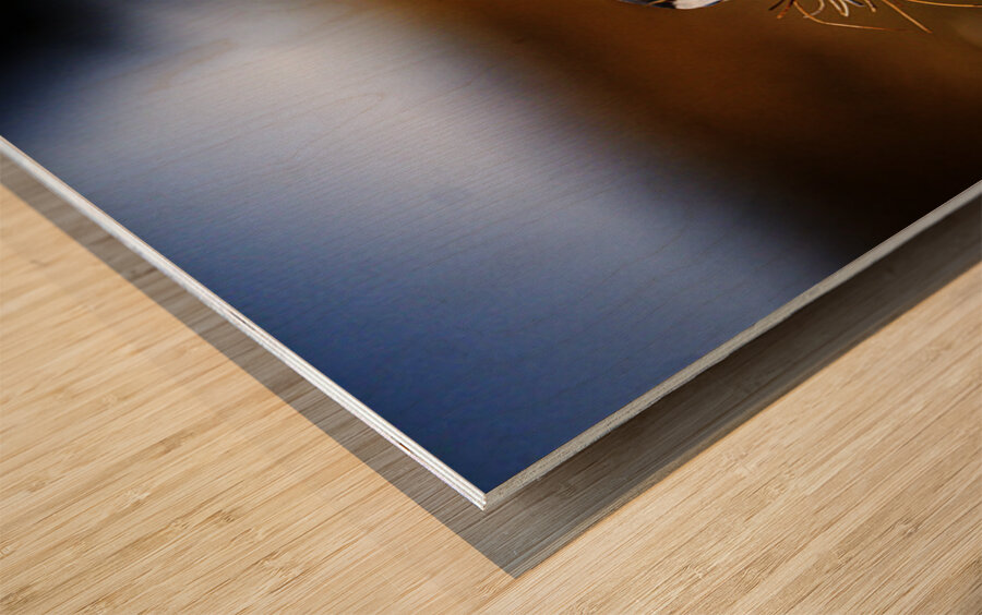 Beak Full Wood print