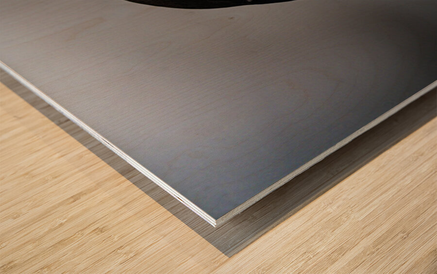 Sea Parrot Wood print