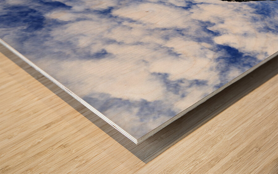 Pretty Cliff I Wood print