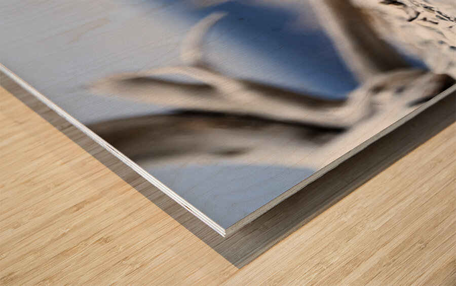 Fire Fox I Wood print