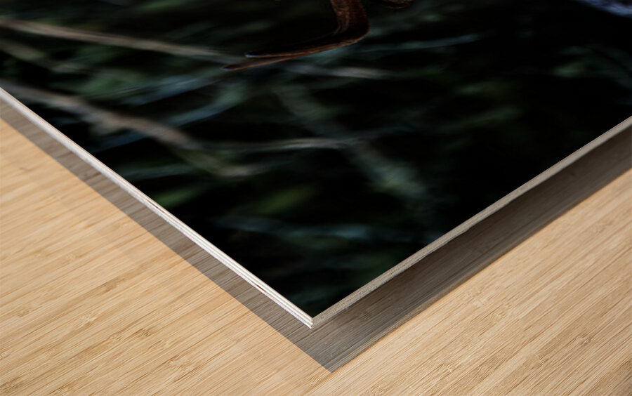 Great Prince of the Forest I Wood print