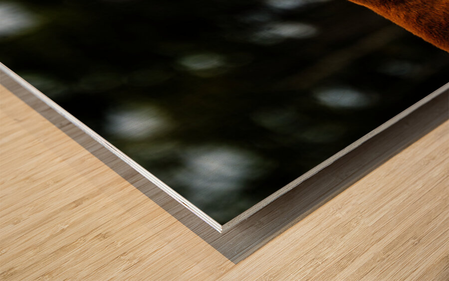 Mother Nature I Wood print