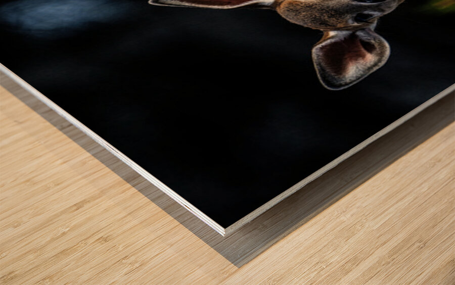 Eye for an eye III Wood print