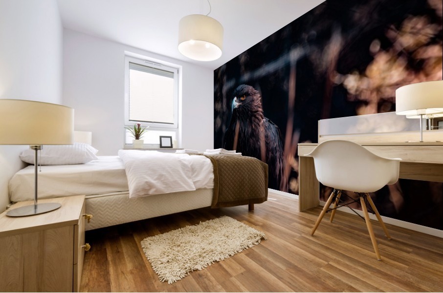 Determinations Glare Mural print