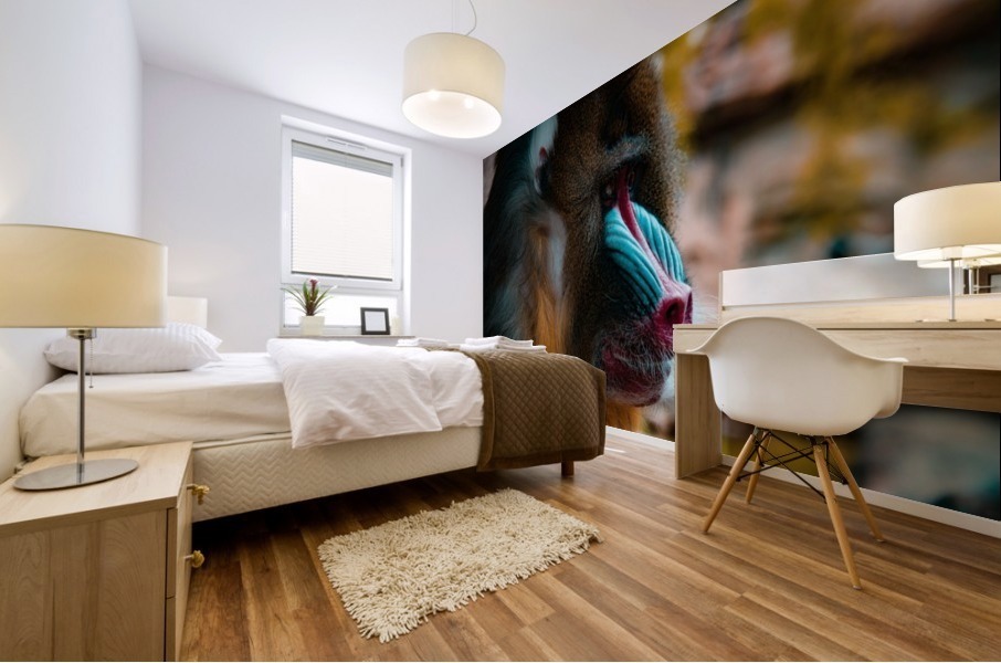Mandrill Mural print