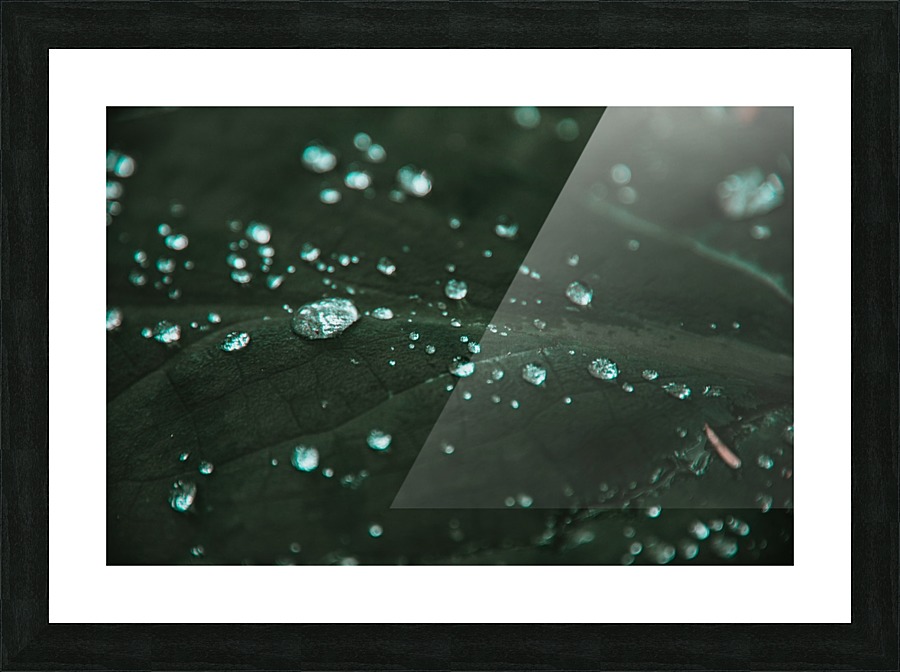Dew Picture Frame print