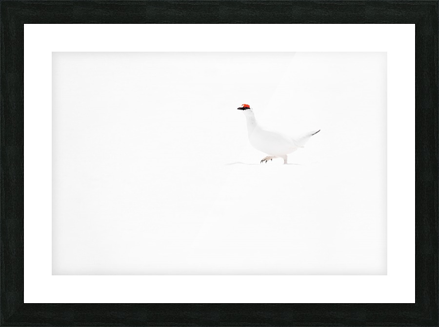 Trekking the Arctic Picture Frame print