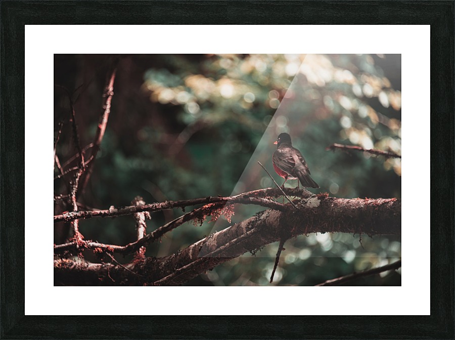 Predators Perspective Picture Frame print