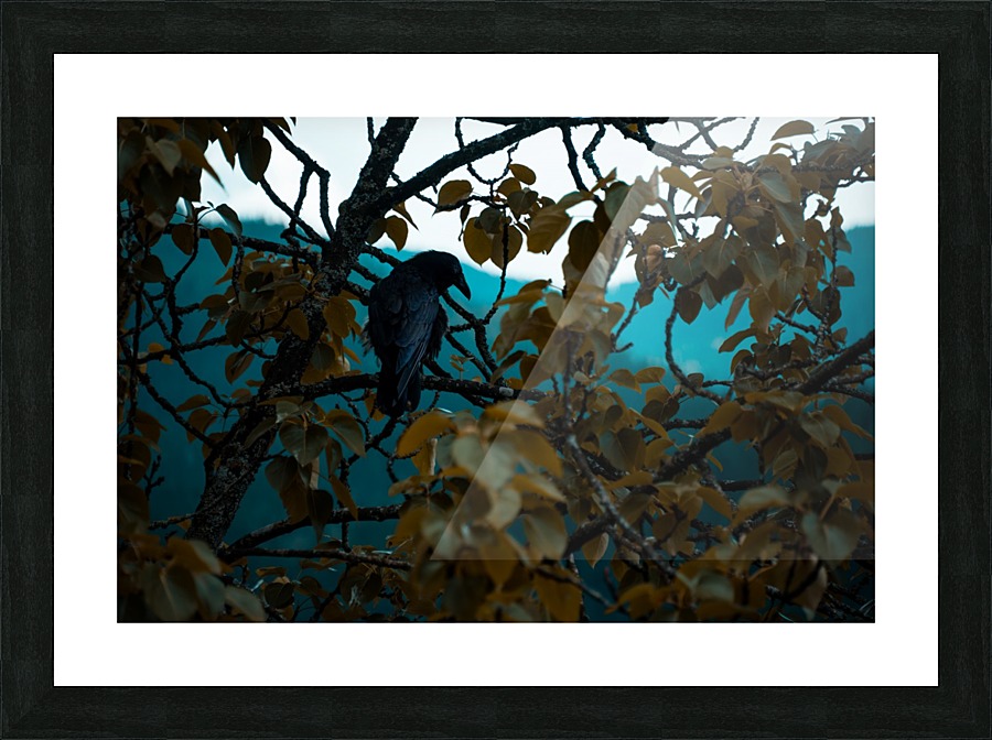 Ravens Watch Picture Frame print