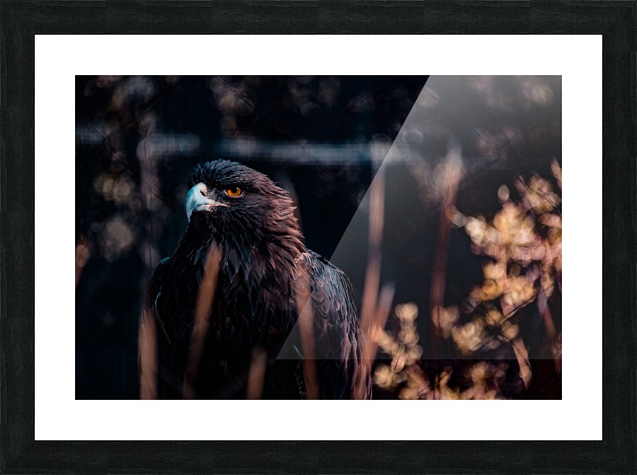 Determinations Glare Picture Frame print