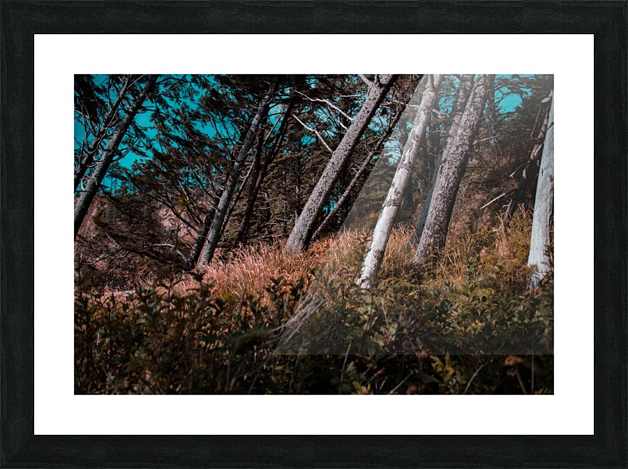 Slant Picture Frame print