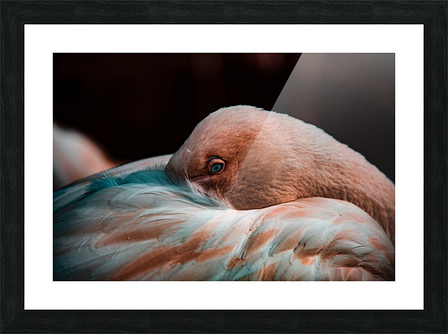 Warmth Picture Frame print