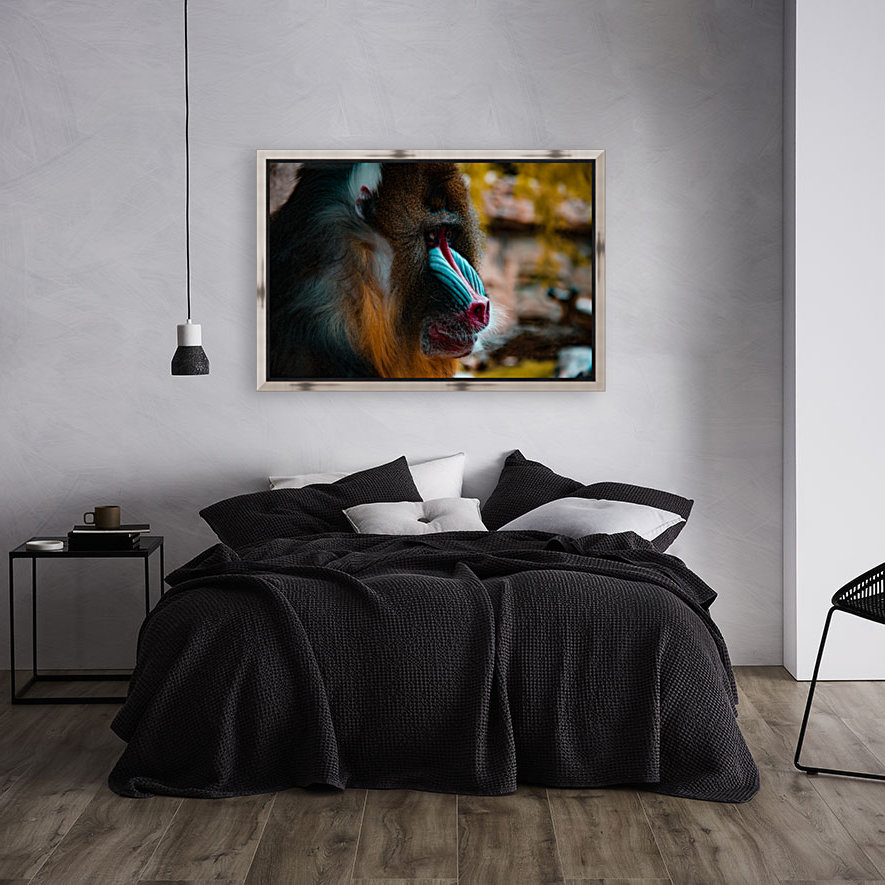 Mandrill Reproduction