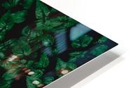 Shady Leaves HD Metal print