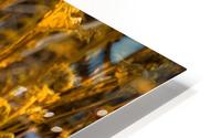 Golden Bird HD Metal print