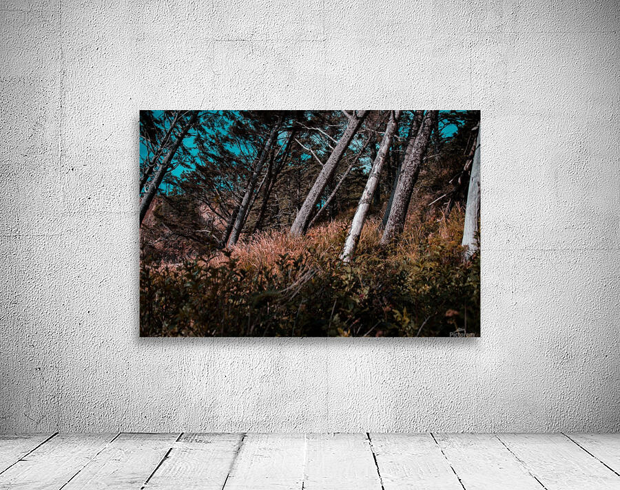 Slant Wall Preview