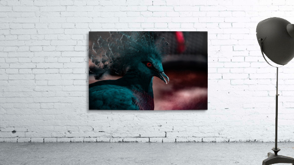 Red Stare Wall Preview