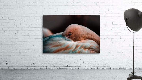 Warmth Wall Preview