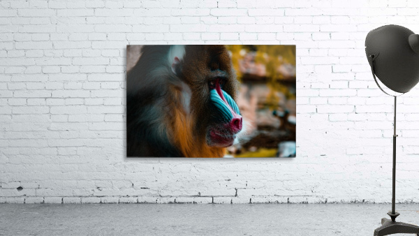 Mandrill Wall Preview