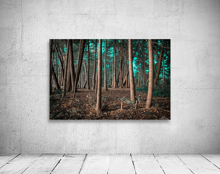EnchantedForest Wall Preview