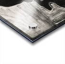 Edvard Munch - Attraction I Acrylic print