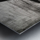 Edvard Munch - Attraction I Metal print