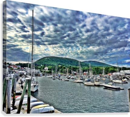 Camden Harbor Canvas Print