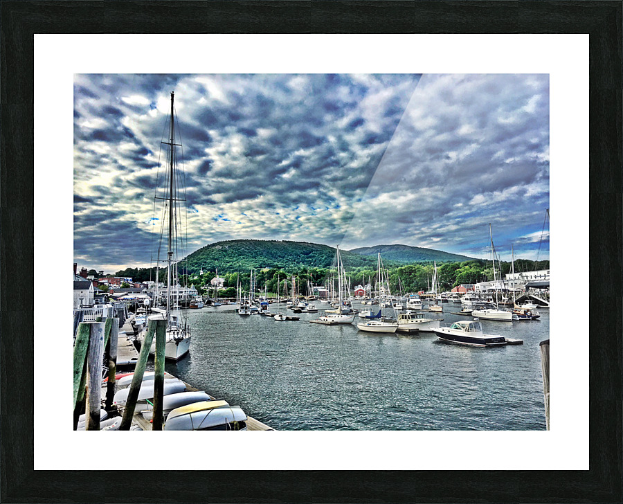 Camden Harbor Picture Frame print