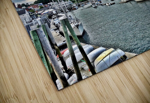 Camden Harbor Dick Trammell puzzle