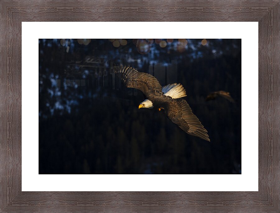 “Ascend from Darkness” Picture Frame print
